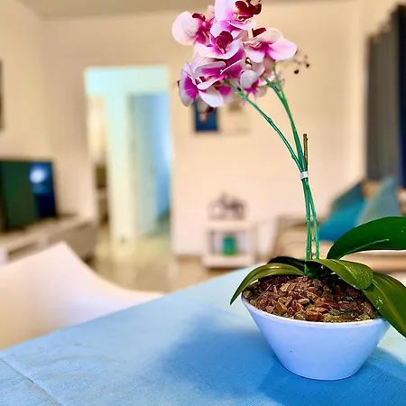 דירה Primavera I *